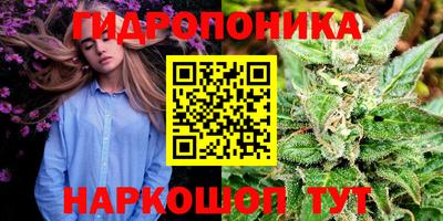 хмурый Краснодар
